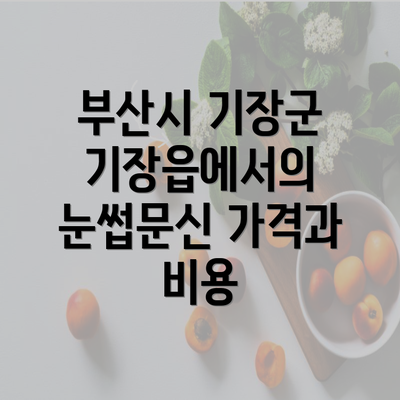 부산시 기장군 기장읍에서의 눈썹문신 가격과 비용