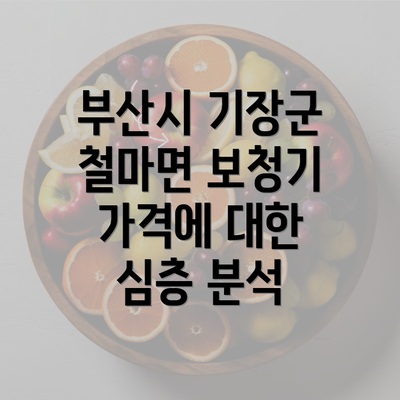 부산시 기장군 철마면 보청기 가격에 대한 심층 분석