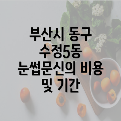 부산시 동구 수정5동 눈썹문신의 비용 및 기간