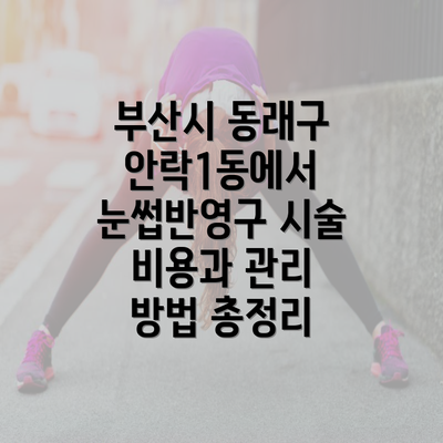 부산시 동래구 안락1동에서 눈썹반영구 시술 비용과 관리 방법 총정리