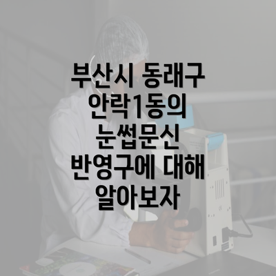 부산시 동래구 안락1동의 눈썹문신 반영구에 대해 알아보자