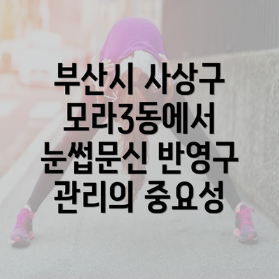 부산시 사상구 모라3동에서 눈썹문신 반영구 관리의 중요성