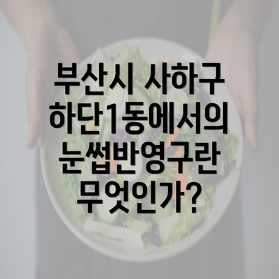 부산시 사하구 하단1동에서의 눈썹반영구란 무엇인가?