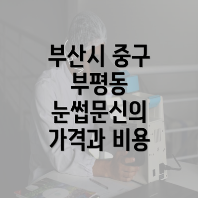 부산시 중구 부평동 눈썹문신의 가격과 비용