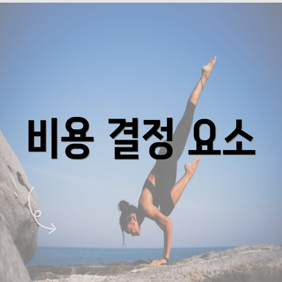 비용 결정 요소