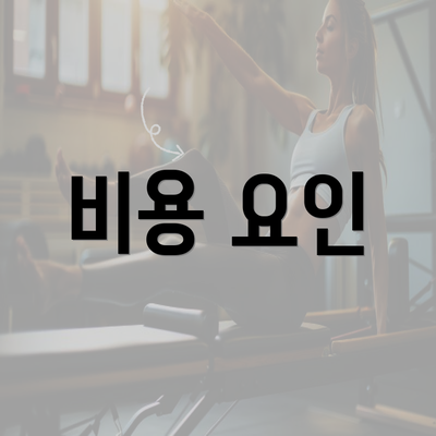 비용 요인