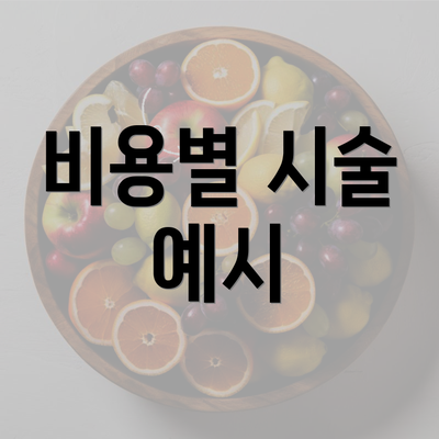 비용별 시술 예시