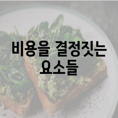 비용을 결정짓는 요소들