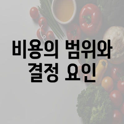 비용의 범위와 결정 요인