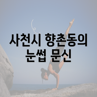 사천시 향촌동의 눈썹 문신