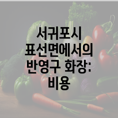 서귀포시 표선면에서의 반영구 화장: 비용