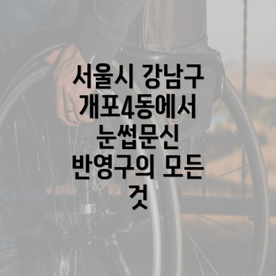 서울시 강남구 개포4동에서 눈썹문신 반영구의 모든 것