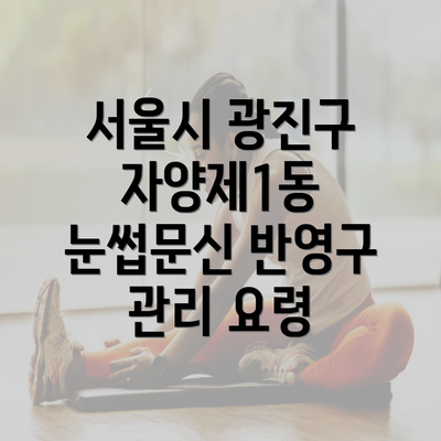 서울시 광진구 자양제1동 눈썹문신 반영구 관리 요령