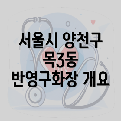 서울시 양천구 목3동 반영구화장 개요