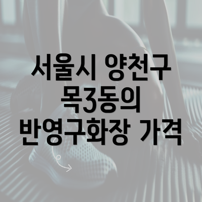 서울시 양천구 목3동의 반영구화장 가격