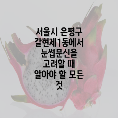 서울시 은평구 갈현제1동에서 눈썹문신을 고려할 때 알아야 할 모든 것