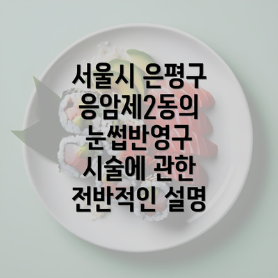 서울시 은평구 응암제2동의 눈썹반영구 시술에 관한 전반적인 설명