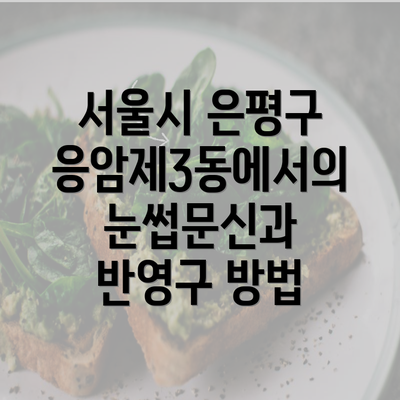 서울시 은평구 응암제3동에서의 눈썹문신과 반영구 방법