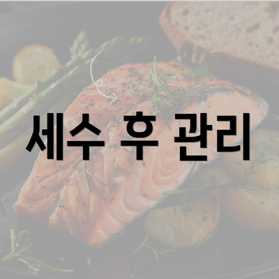 세수 후 관리