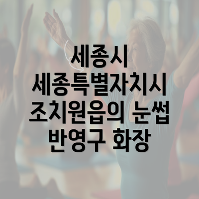 세종시 세종특별자치시 조치원읍의 눈썹 반영구 화장