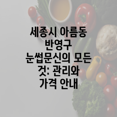 세종시 아름동 반영구 눈썹문신의 모든 것: 관리와 가격 안내