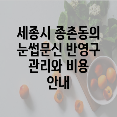 세종시 종촌동의 눈썹문신 반영구 관리와 비용 안내