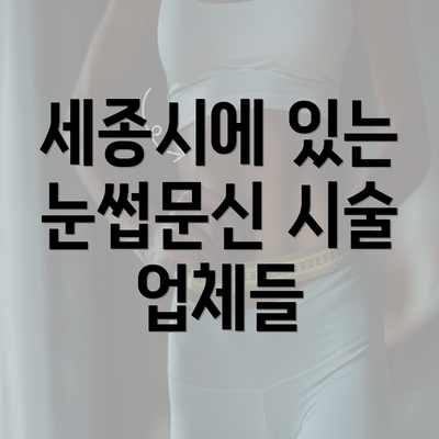 세종시에 있는 눈썹문신 시술 업체들