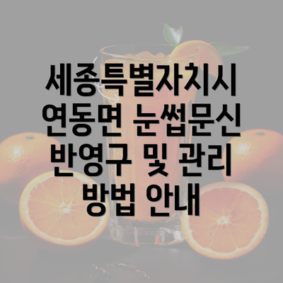 세종특별자치시 연동면 눈썹문신 반영구 및 관리 방법 안내