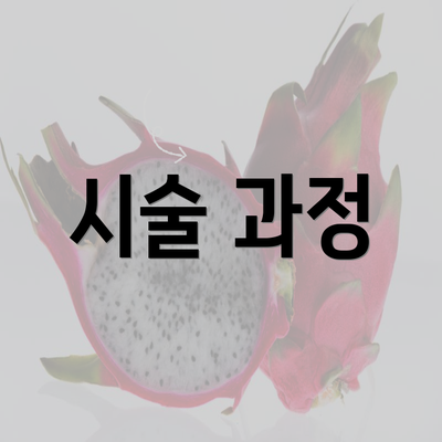 시술 과정