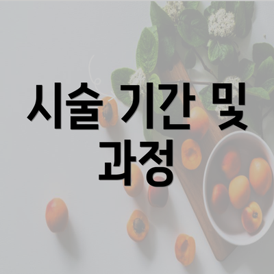 시술 기간 및 과정