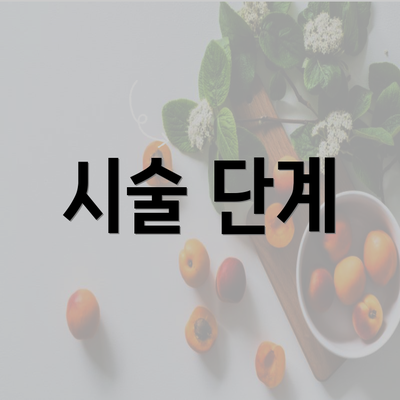 시술 단계