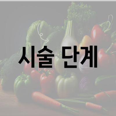 시술 단계