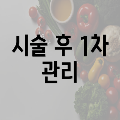 시술 후 1차 관리