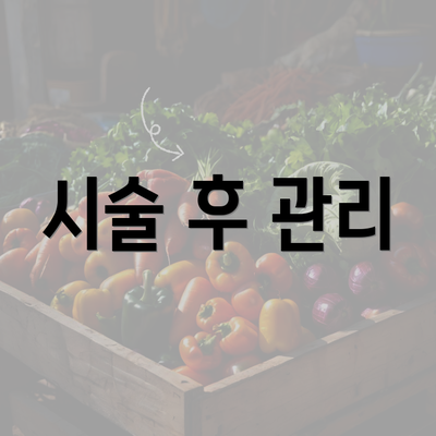 시술 후 관리