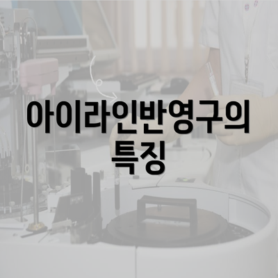 아이라인반영구의 특징