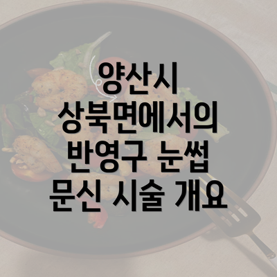 양산시 상북면에서의 반영구 눈썹 문신 시술 개요