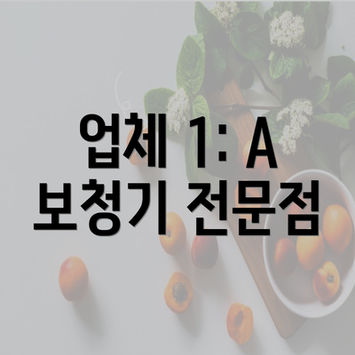 업체 1: A 보청기 전문점