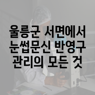 울릉군 서면에서 눈썹문신 반영구 관리의 모든 것