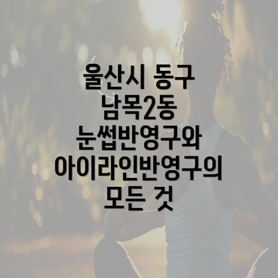 울산시 동구 남목2동 눈썹반영구와 아이라인반영구의 모든 것