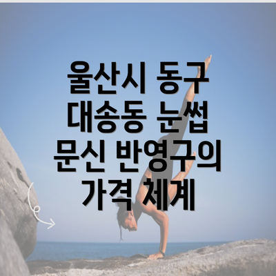 울산시 동구 대송동 눈썹 문신 반영구의 가격 체계