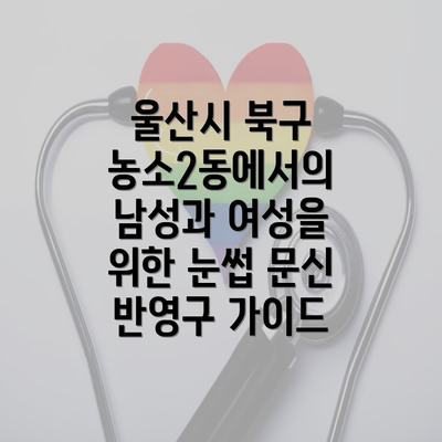 울산시 북구 농소2동에서의 남성과 여성을 위한 눈썹 문신 반영구 가이드