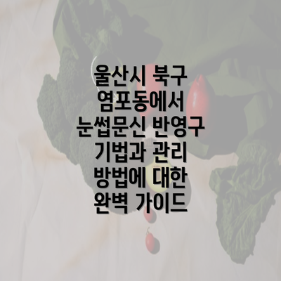 울산시 북구 염포동에서 눈썹문신 반영구 기법과 관리 방법에 대한 완벽 가이드