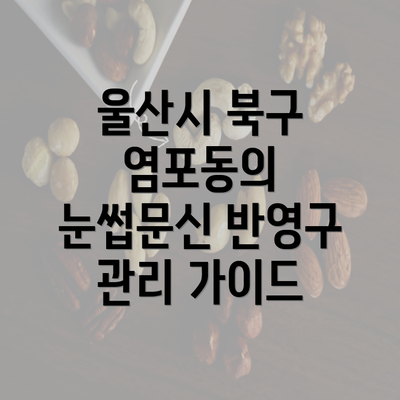 울산시 북구 염포동의 눈썹문신 반영구 관리 가이드