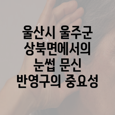 울산시 울주군 상북면에서의 눈썹 문신 반영구의 중요성