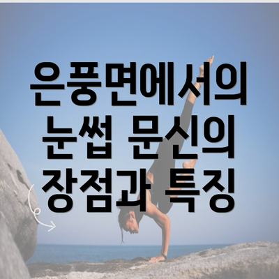 은풍면에서의 눈썹 문신의 장점과 특징