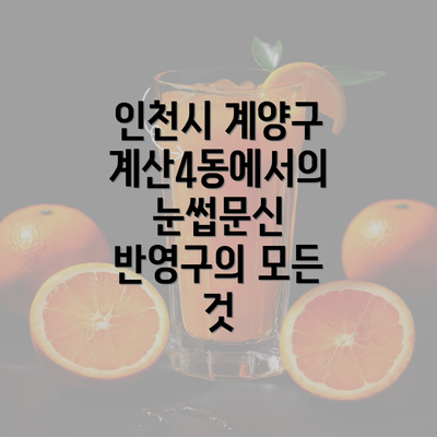 인천시 계양구 계산4동에서의 눈썹문신 반영구의 모든 것