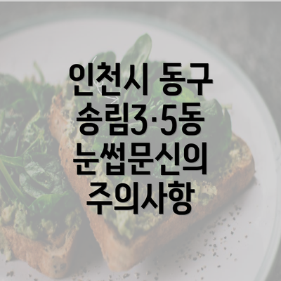 인천시 동구 송림3·5동 눈썹문신의 주의사항