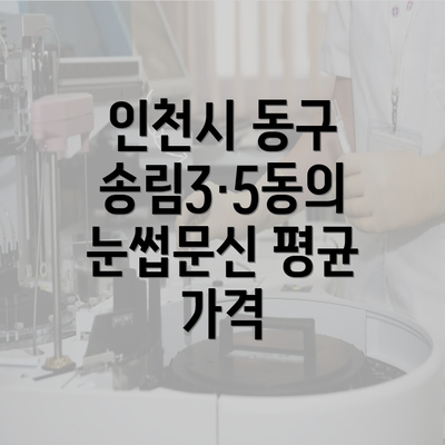 인천시 동구 송림3·5동의 눈썹문신 평균 가격