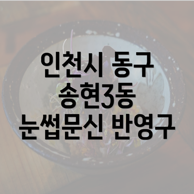 인천시 동구 송현3동 눈썹문신 반영구