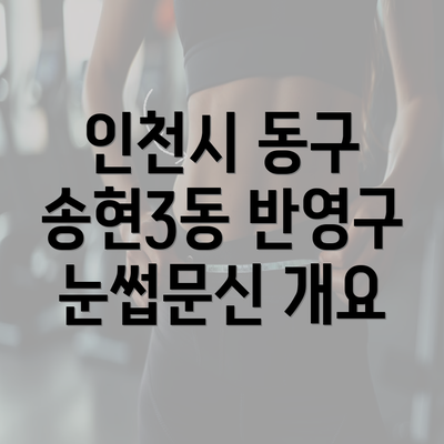 인천시 동구 송현3동 반영구 눈썹문신 개요